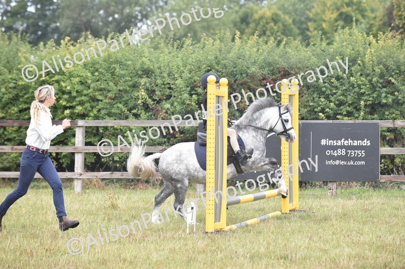 20250831-1849 - Class 9 - Absolute Novice 45cm