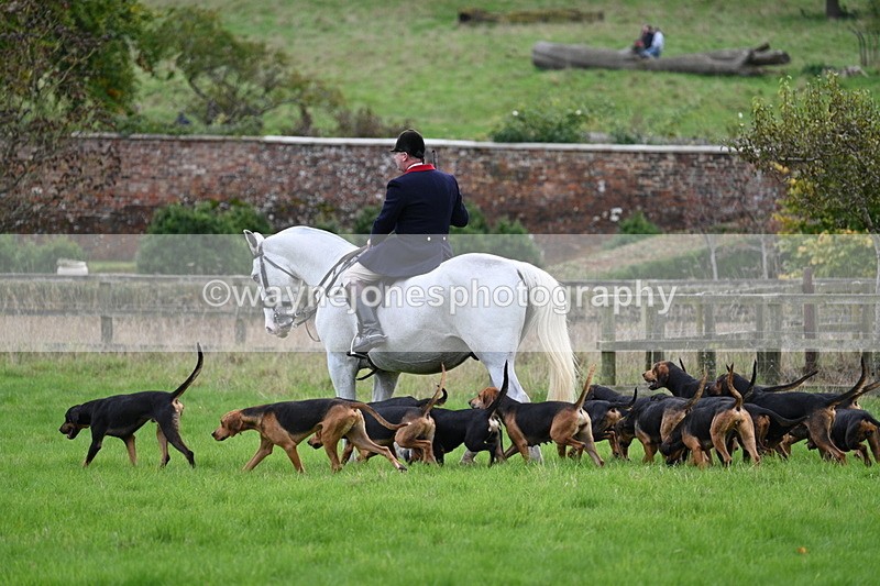 WJ7_4789 - Camera 1 Line 3