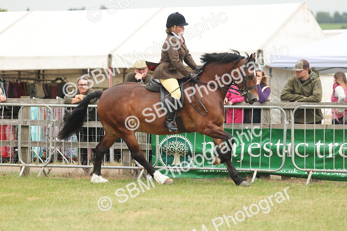 SBM_07187 - Class 76-77 - Ridden M&M Welsh Ponies