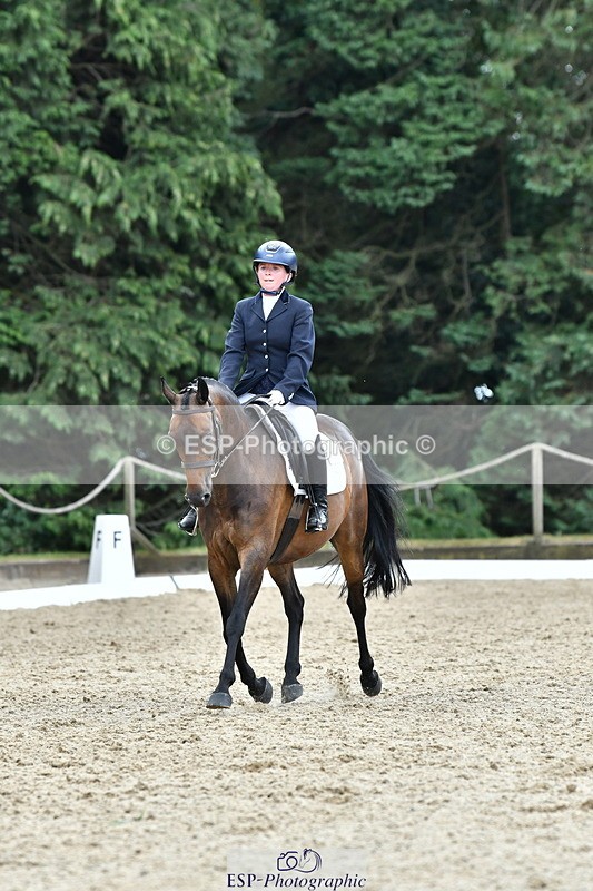 260801A-125358-04089 - Prelim Bronze Break - End