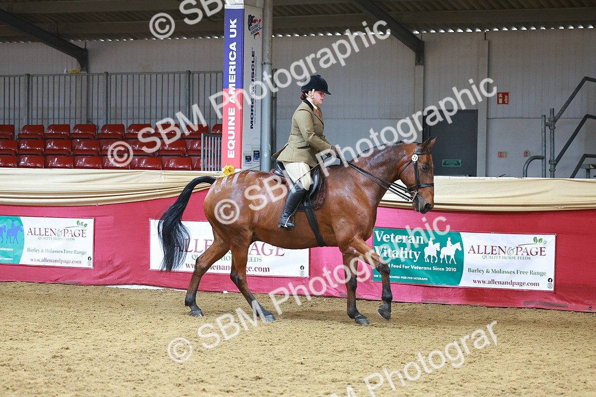 SBM_09404 - Class 102 - HOYS Veteran Qualifier - Ridden Veteran
