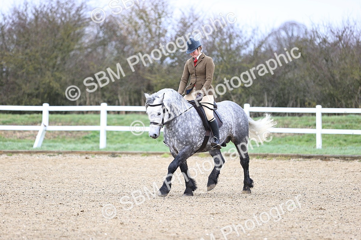 SBM_007566 - Class 31-32 - M&M Confined Novice Small-Large