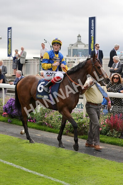 yr24092021r2-13 - Race 2 2.05pm William Hill Extra Places Races Stakes