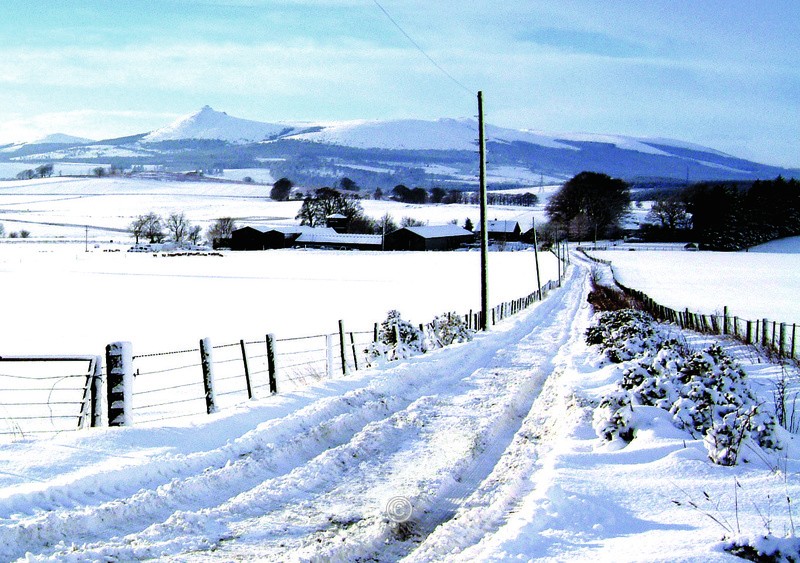  - BENNACHIE Paintings Photographs