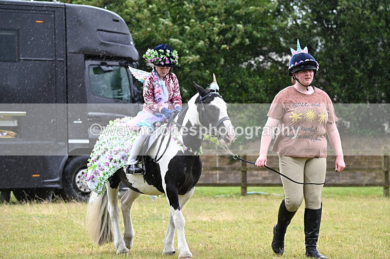 WJ6_9100 - Class 11 Fancy Dress