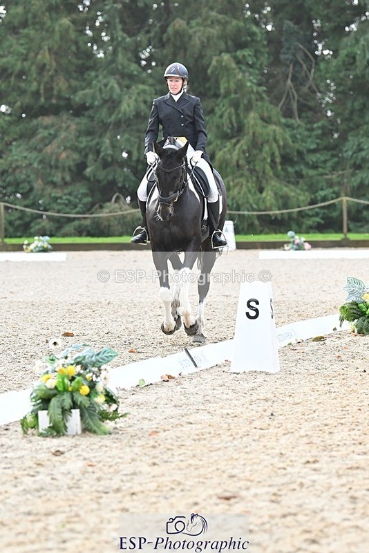 231019-103536-01899 - 101-RICARDO.COLOURS.II-Elizabeth.Wadey-DR