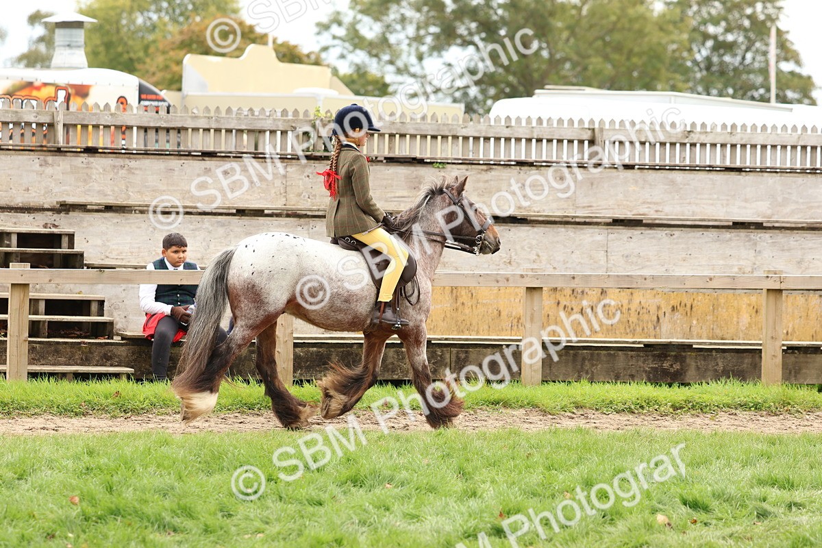 SBM_64422 - S58 - Coloured Pony Ridden