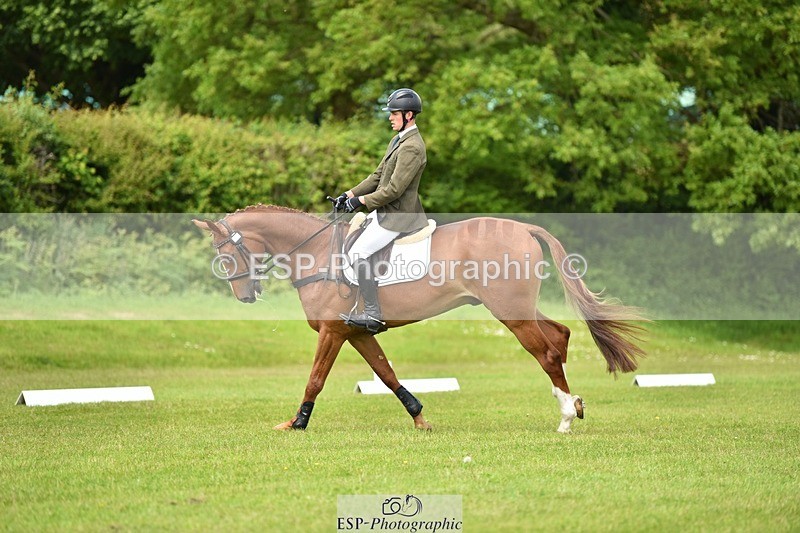 240523B-132342-02399 - 5 Year Old