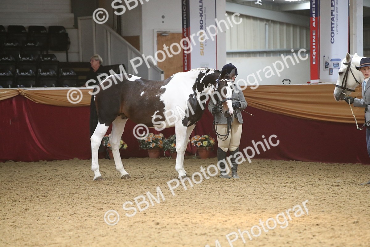 SBM_05604 - Class 9R - Regional IH Pre-Vet