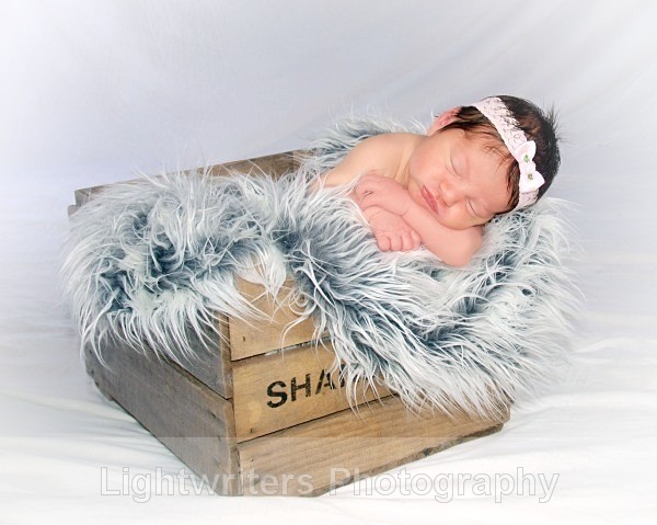  - Baby Harper