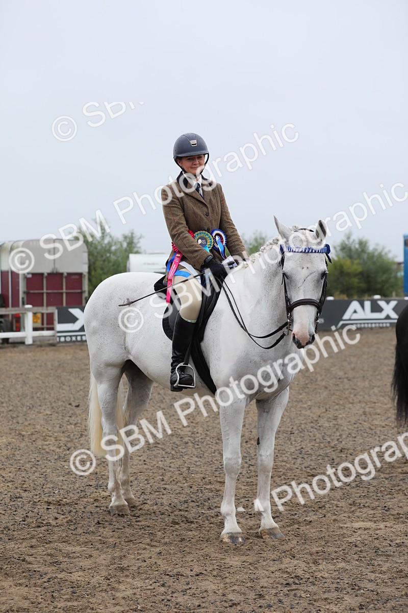SBM_20088 - Class 802 - Ridden Groom - Helpers class