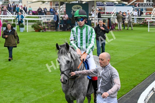 080924-Pony Race-8436 - Pony Race 1.00pm The Dragon (TV and Film) Studios Pony Race 148cm & Under