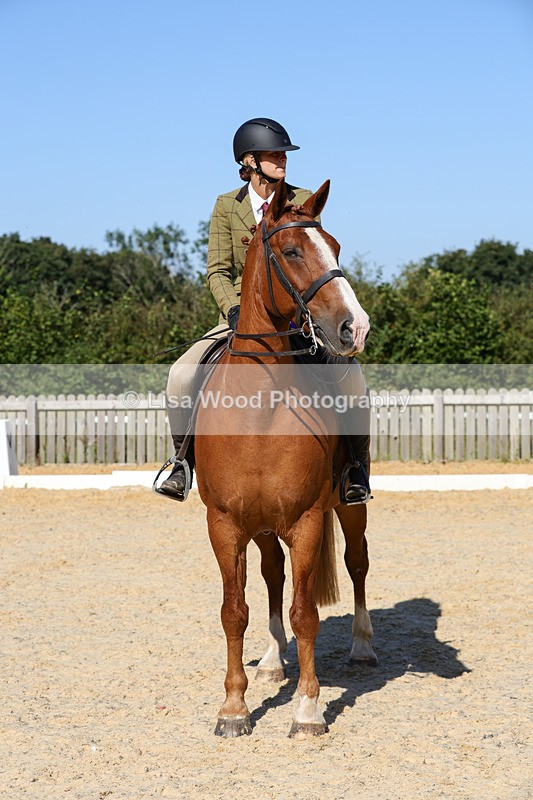 1X9A7838 - Class 9: Open Ridden Hunter