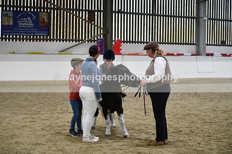 WJ5_6638 - Class 10 Childs Pony