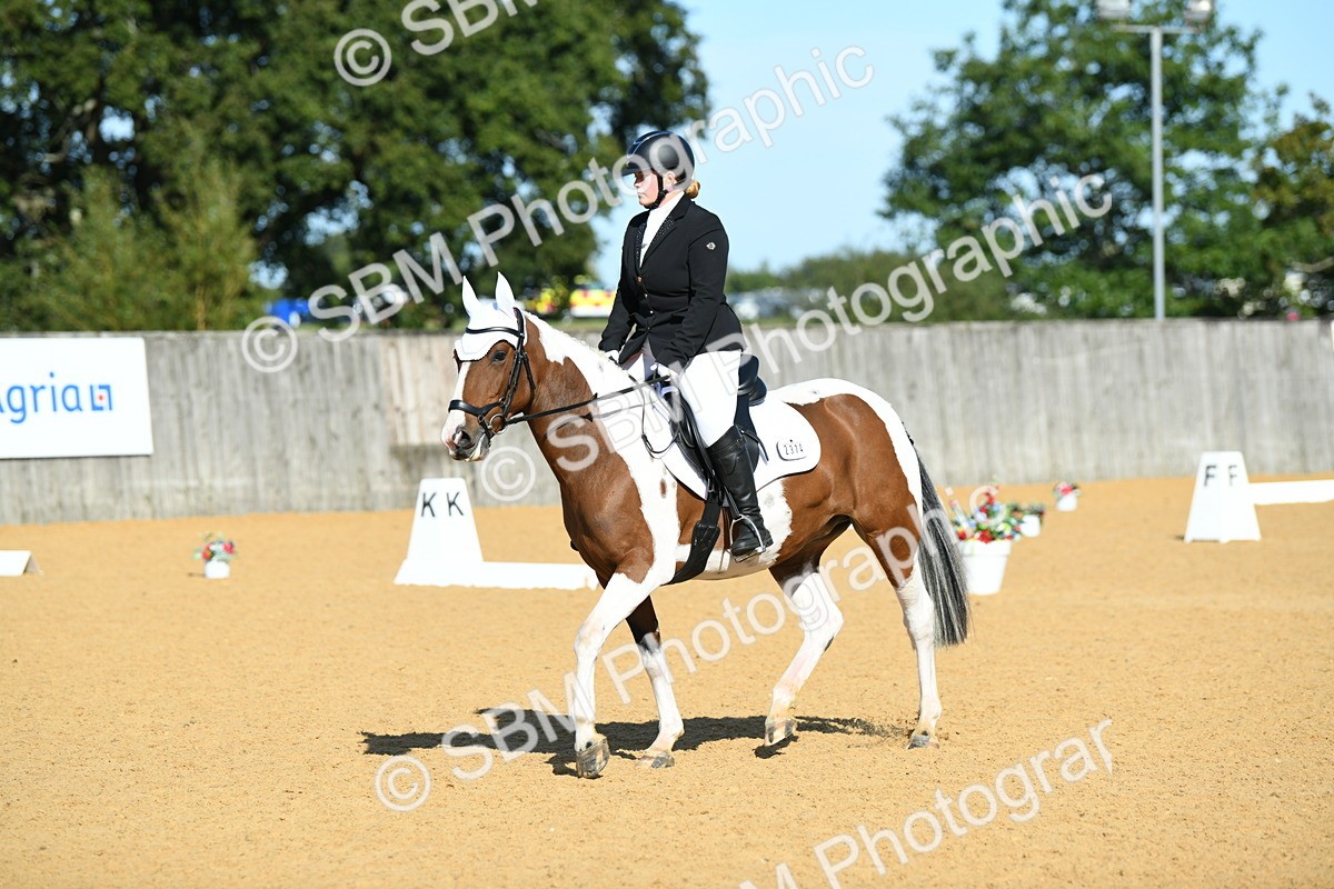 SBM_17919 - D4 - Small Tour Championship - Intro B