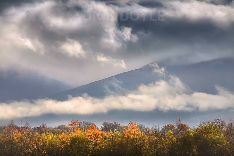Misty Autumn blues - 2020 VISION