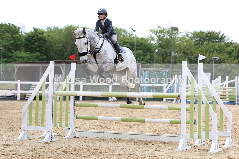 3E7A7544 - Class 8: Senior Foxhunter/1.20 open