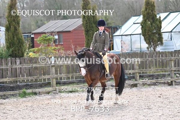 BPP_7633 - RING 1  (RIDDEN HORSES / IN HAND / VETERAN ETC)