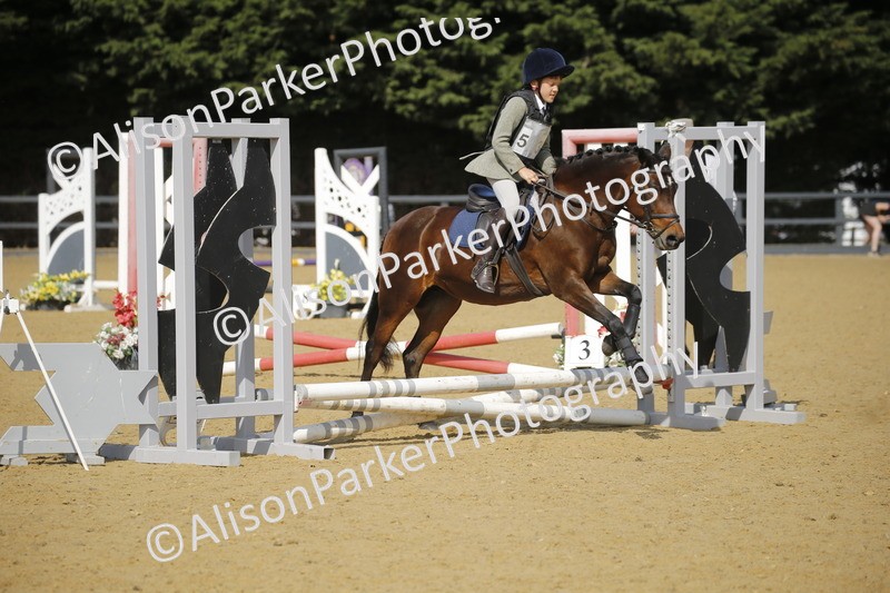 20250622-1622 - 40cm