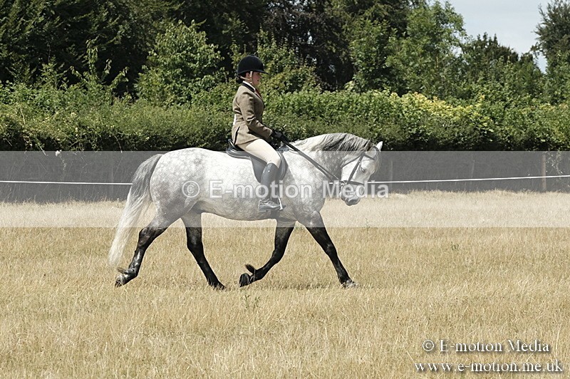 _PJP5968 - BVRC Show 2018 Ring 1