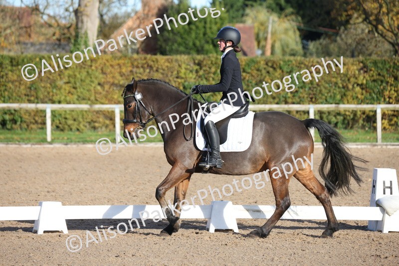 20251102-0295 - Class 2 - Prelim 6