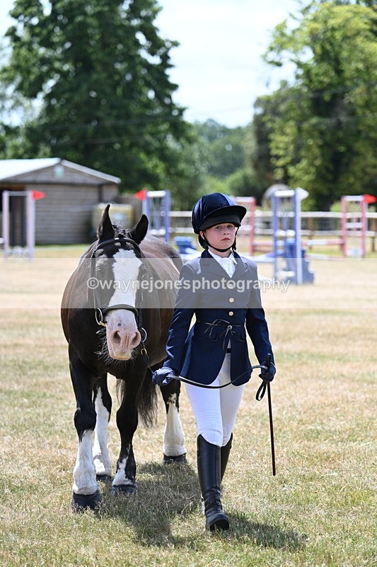 WJ7_2156 - Class 5 Most Handsome Gelding (up to 14.2hh) in hand