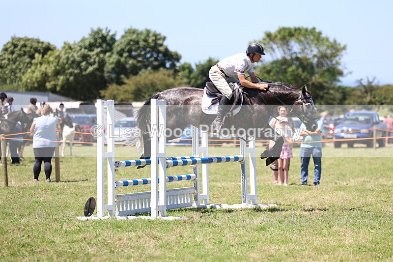 3E7A5440 - Class 9: Senior British Novice/90cm open