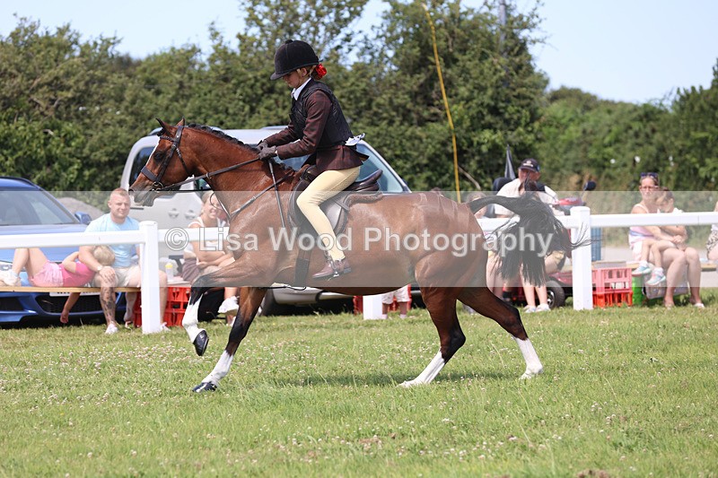 JPP_2651 - Class 21: Working Hunter 60cm