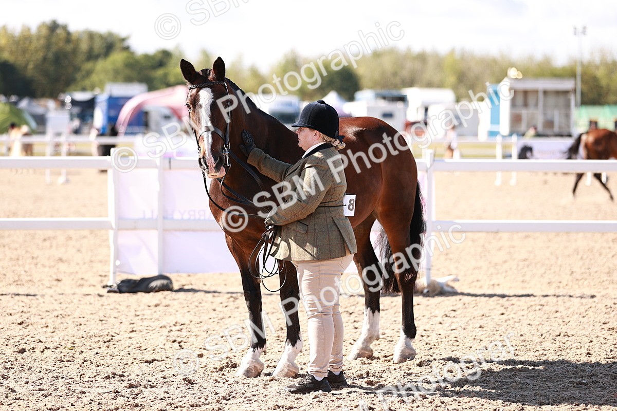 SBM_13230 - Class 405 - IH Show Cob