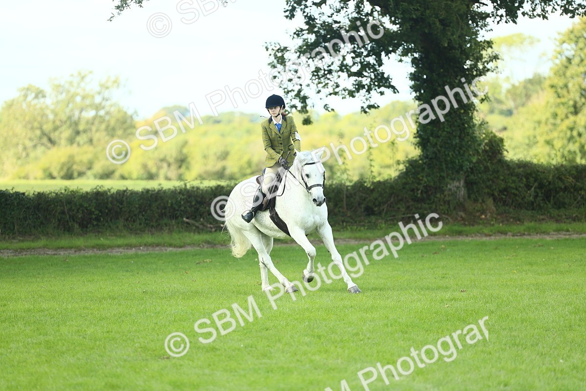 SBM_43037 - S30 - M&M Working hunter Pony