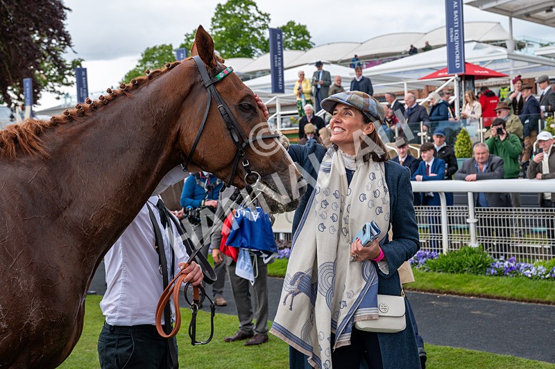 140526-Race 5-Item-1575 - Race 5 4.05pm Al Basti Equiworld Dubai Dante Stakes