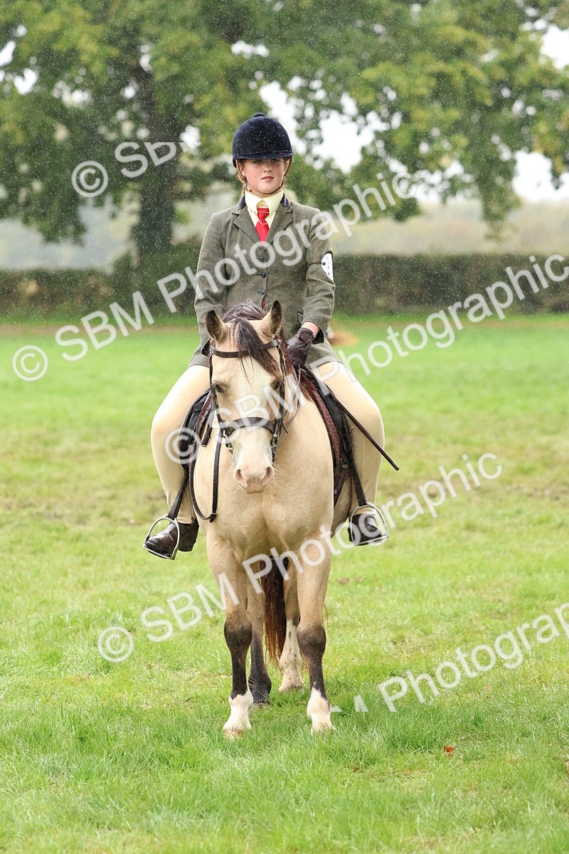 SBM_69732 - S62 - Mountain & Moorland Ridden Large Breeds