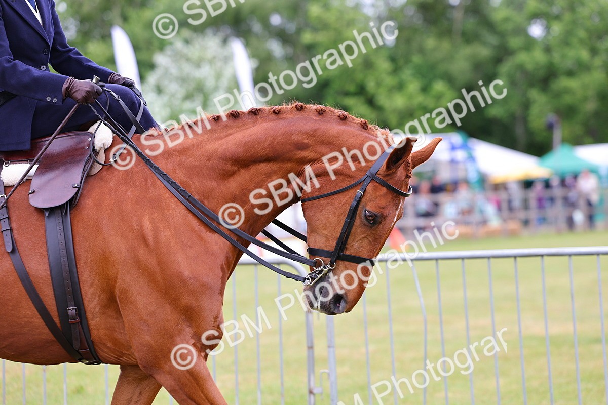 SBM_02699 - Class 9-11 Side Saddle including LIHS Rising Star Ladies Show Horse