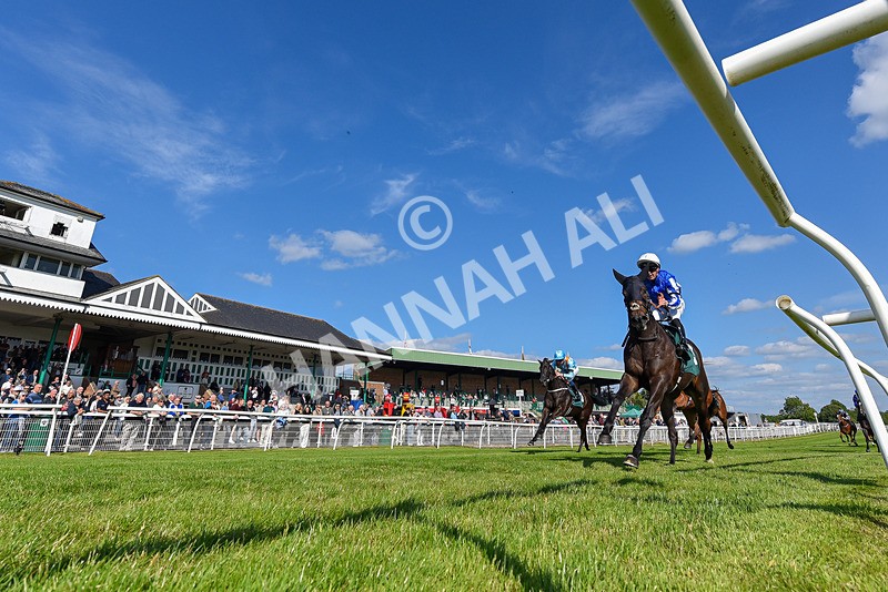 100625-Race 1-Desert Jungle-4046 - Race 1