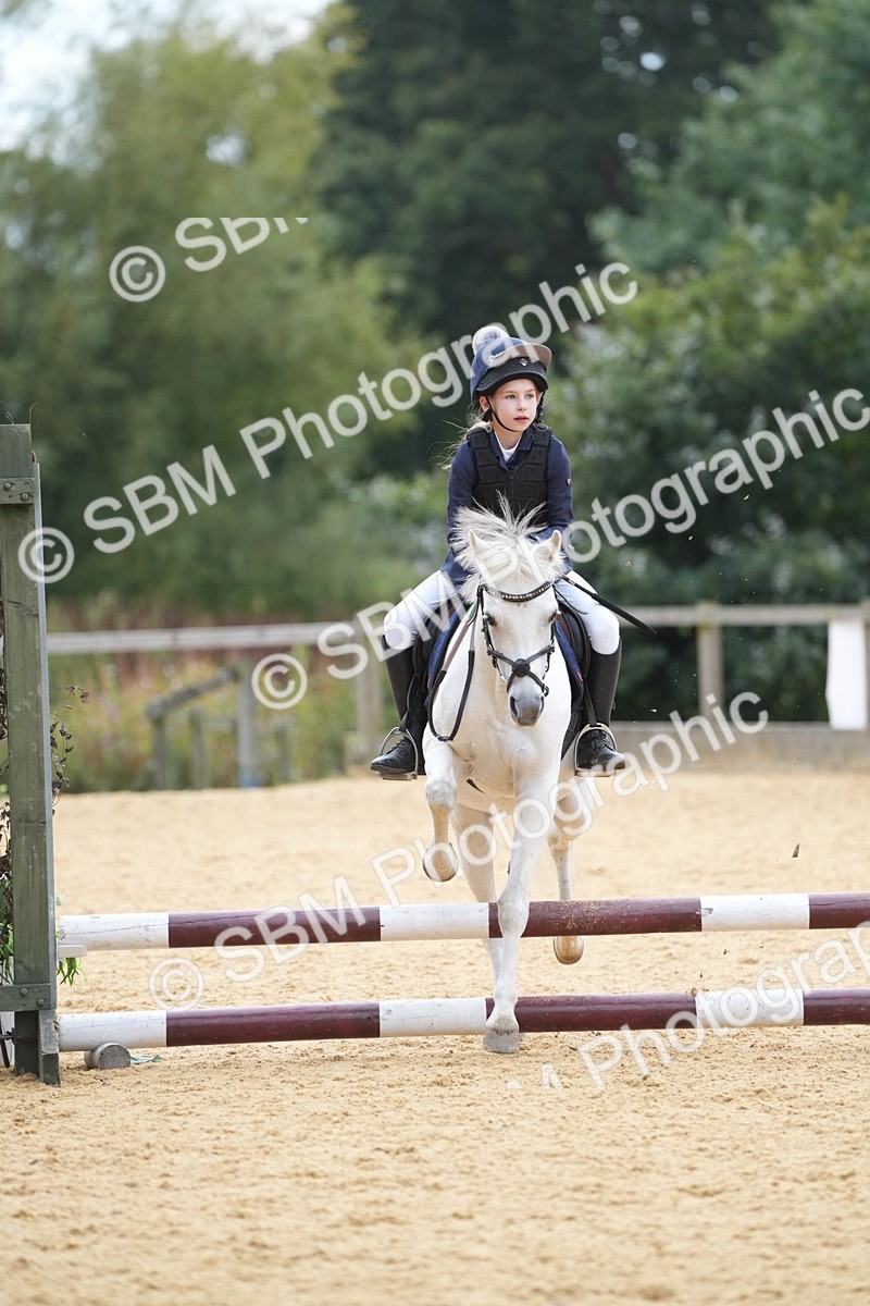SBM_74786 - J4 - Mini Tour Junior Pony 45cm Championship
