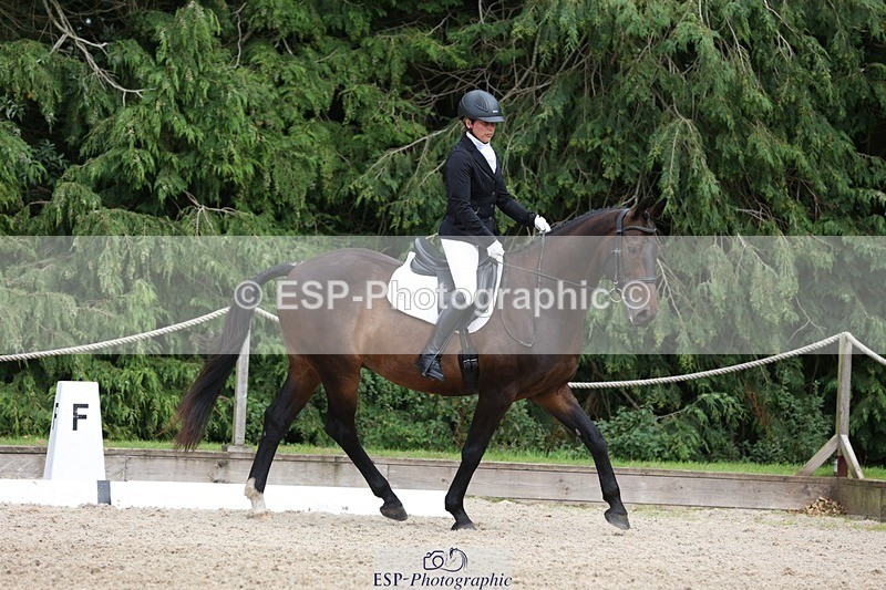 230812-153208-05160 - Cls 5 Novice Bronze 15.00 to End