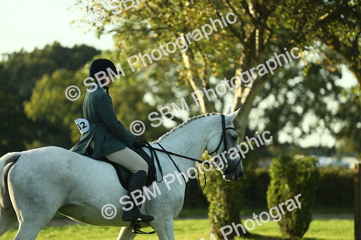 SBM_55519 - S14 - Riding Club Horse