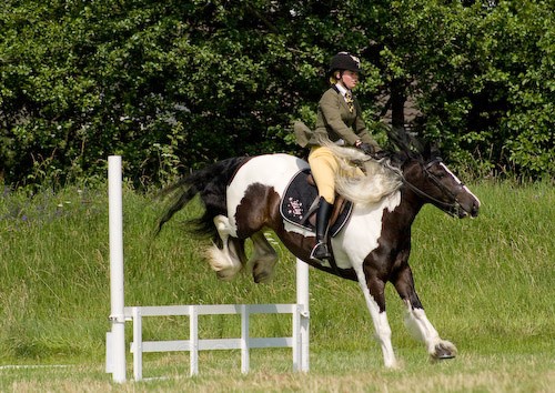 84 - Moniaive Horse Show 2008