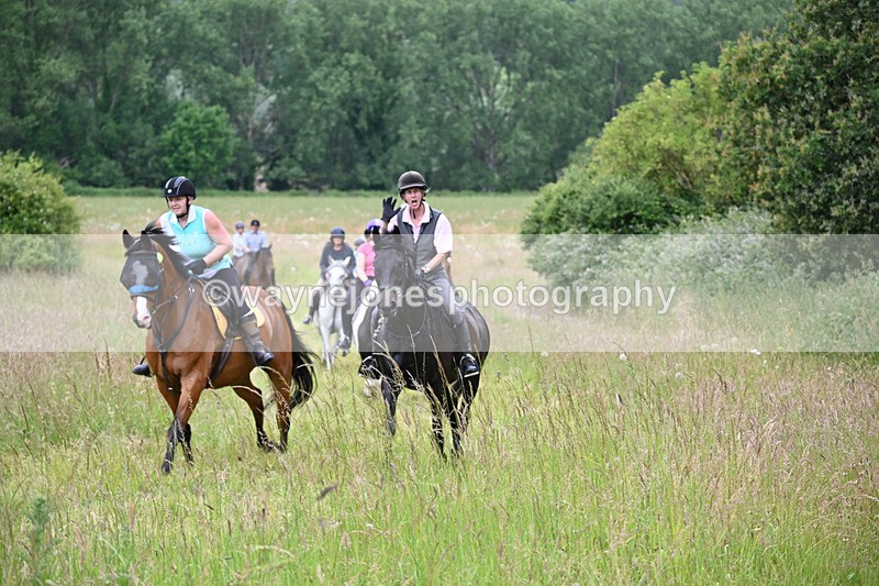 WJ6_8379 - Camera 1 Gallops