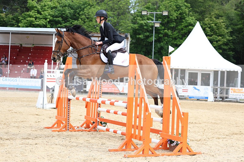 3E7A8563 - Class 4: Senior British Novice/90cm open