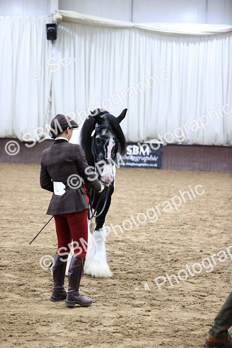 SBM_5681 - Class 40 - RESS In Hand Qualifier