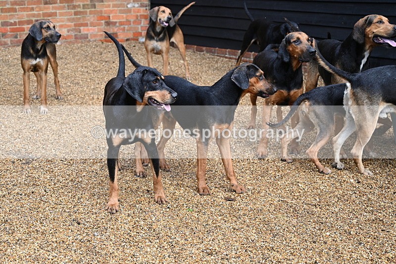 WJ7_6993 - Berks & Bucks at Blandy’s Farm 31-08-25