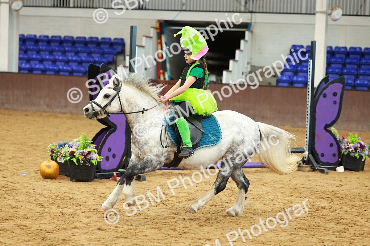 SBM_000618 - Class 2 - 50cm