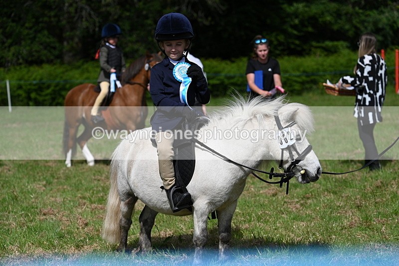 WJ7_0948 - Class 8 First Rally Pony