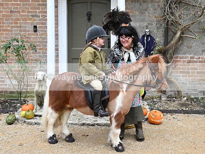 WJ7_6776 - Berks & Bucks - Children's Meet - The Old Farmhouse – Steventon.