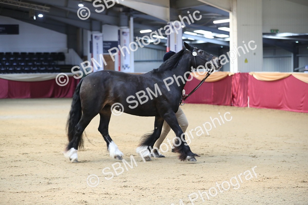 SBM_00595 - class 2a Area IH Veteran