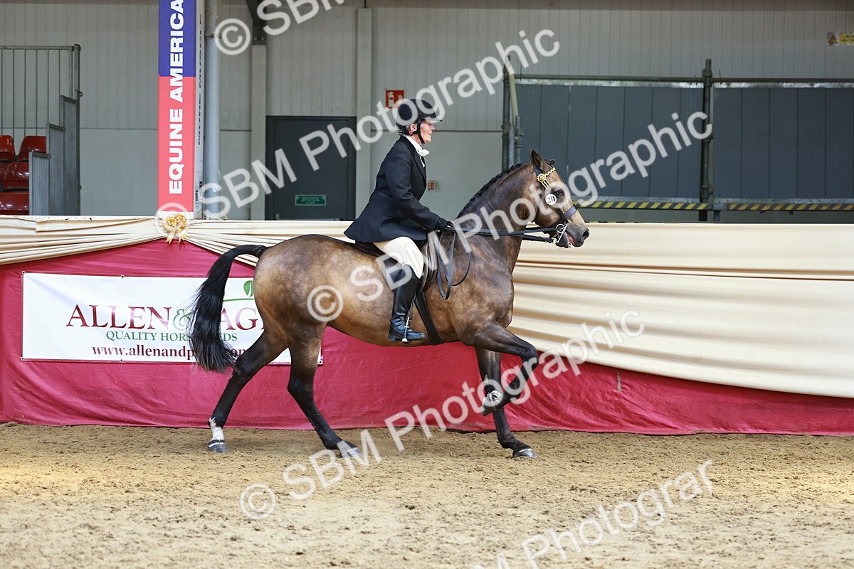 SBM_23930 - Class 905 - Supreme Final - Ridden Veteran