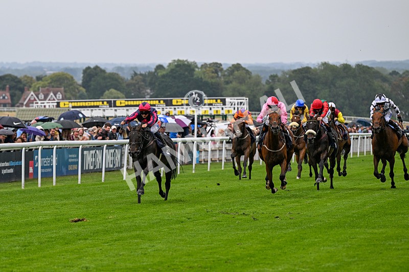 290826-Race 2-Valley Of Flowers-5930 - Race 2 2.20pm Napoleons Casino And Restaurant Hull Handicap