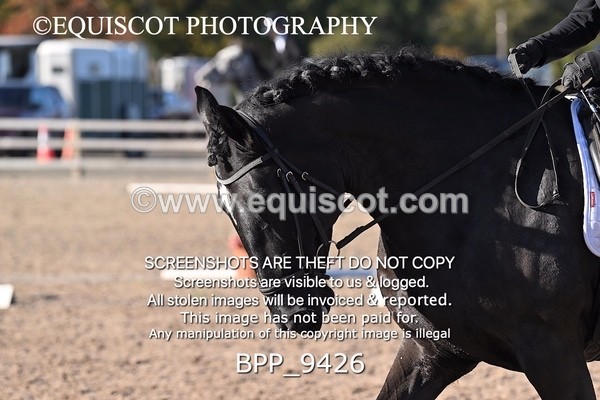 BPP_9426 - LONG ARENA