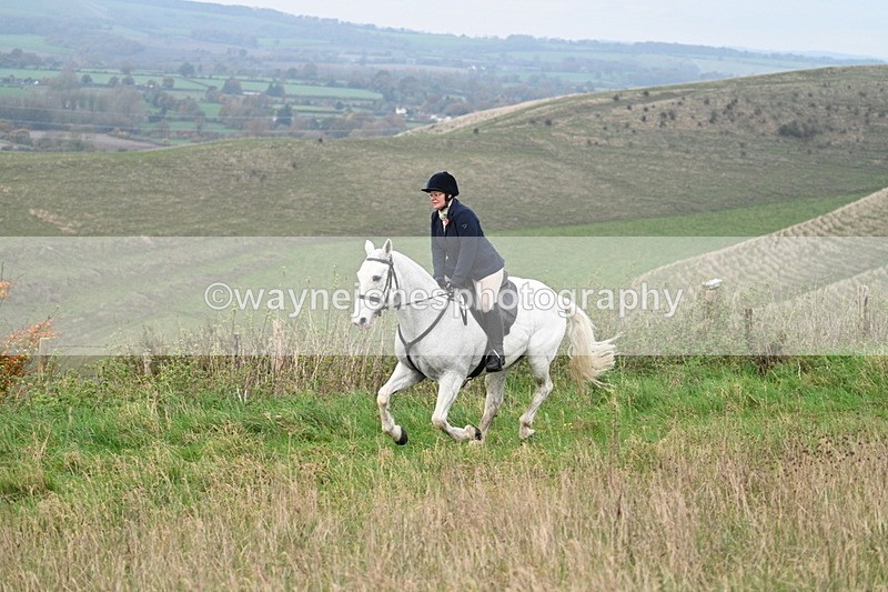 WJ7_0068 - Camera 1 & Last fence